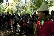 alberi pinocchio 180
